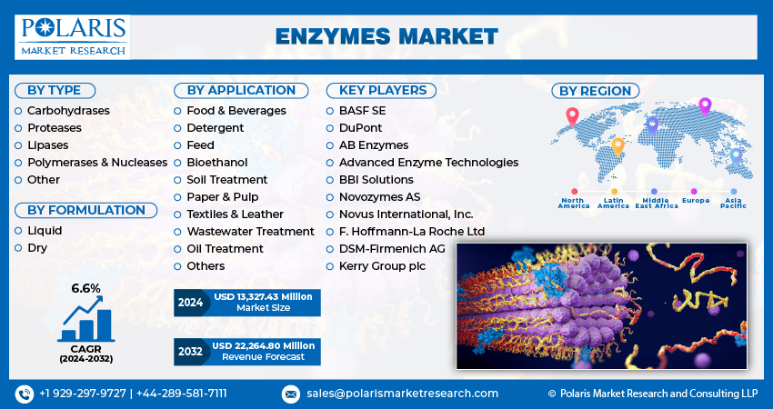 Enzymes Market